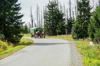 Kutsche im Vogtland verunglückt: Pferde auf der Flucht - Symbolbild: Ein Mann ist mit einer von zwei Pferden gezogenen Kutsche unterwegs.