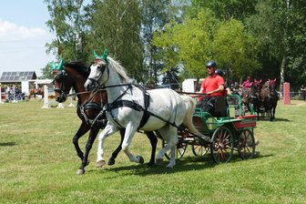 Kutschen-Parade bei Pferdeturnier im Erzgebirge - Zum Fahrturnier am Wochenende im Amtsberger Ortsteil Weißbach stehen die Kutschen im Mittelpunkt. Hier eine Aufnahme aus dem vergangenen Jahr.