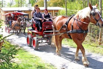 Kutschenkorso gibt Vorgeschmack auf diesjährige Ponyshow im Juli - Im Ponysportverein Wenigenauma sind weitaus mehr Pferderassen und -größen als Ponys vertreten. Thomas Laurinat aus Thierbach bei Pausa war am Samstag mit seinem Kaltblut unterwegs.