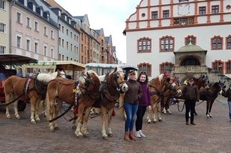 Kutschenkorso zieht zum Auftakt des Europäischen Bauernmarktes durch Plauen - Der Kutschenkorso zum Auftakt des 25. Europäischen Bauernmarktes erreichte sein Ziel am Altmarkt in Plauen.