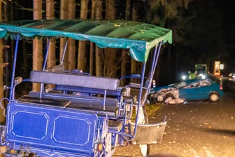Kutschenunfall in Sayda: Was sagt die Polizei? - Am 27. Oktober kam es bei Sayda zu einem schweren Unfall mit einer Pferdekutsche.