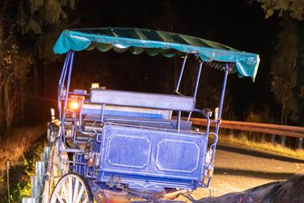 Kutschverbot in Mittelsachsen: Überfällig oder unsinnig? So diskutiert das Netz - Am 27. Oktober kam es bei Sayda zu einem Kutschunfall.