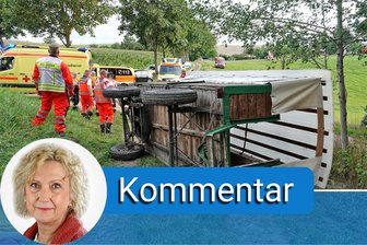 Kutschverbot wirklich realistisch? - Einer der schweren Kutschenunfälle, die sich diesen Monat ereigneten.