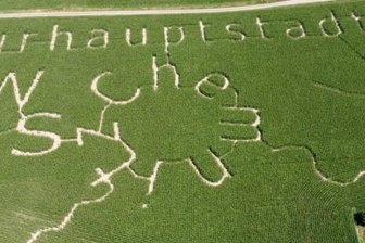 Labyrinth im Maisfeld: Verlaufen erwünscht - So sieht das Maislabyrinth in Wittgensdorf von oben aus.