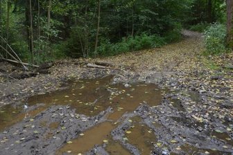 Land unter im Kirchbachtal - Nach dem regenreichen Sommer stehen Waldwege unter Wasser, hier an der Weggabelung hinter dem Ortsausgang Kirchbach in Richtung Oberschöna. Auch Baumstämme versperren die Wege.