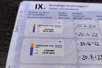 Landesamt rät zur Impfung gegen die Hunde- und Katzenseuche - In der Impfbescheinigung steht das "P" in den Kürzeln DHPPi für das Parvovirosevirus.
