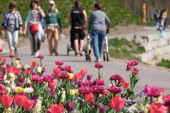 Landesgartenschau: 50.000 Tageskarten und 8000 Dauerkarten verkauft - Die Landesgartenschau in Frankenberg wird gut angenommen. 