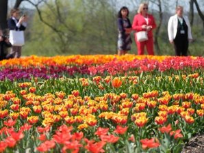 Landesgartenschau: Noch 128.000 Besucher bis zur schwarzen Null - Besucher der sächsischen Landesgartenschau stehen vor Blumenbeeten.