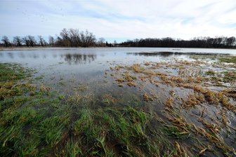 Landeshochwasserzentrum: Lokale Sturzfluten im Vogtland möglich - Das Landeshochwasserzentrum hat Freitagmittag die Hochwasserwarnung für das gesamte Vogtland erneuert.