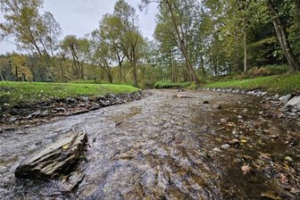 Landestalsperrenverwaltung beseitigt im Vogtland Wehr in der Trieb - Die Trieb an der Hasenmühle nach dem Rückbau des Wehrs.
