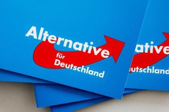 Landeswahlleiter empfiehlt AfD Neuwahl der Bundestagskandidaten - 
