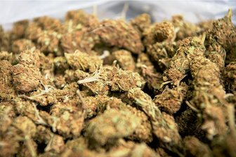 Landgericht schickt Drogendealer aus Meerane ins Gefängnis - Rund 200 Gramm Marihuana wollte der Mann verkaufen (Symbolfoto). 