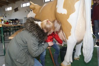 Landmarktscheune ist mehr als eine Verkaufshalle - Zahlreiche Besucher der Eröffnungsveranstaltung der Reika-Landmarktscheune nutzten die Gelegenheit, selbst mal eine Kuh zu melken - "Kuh" Leni nahm das gelassen hin. 