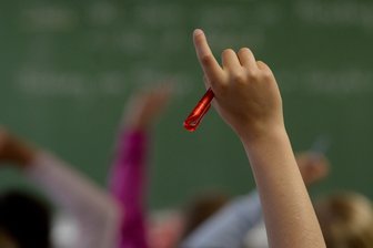 Landtag lässt AfD-Lehrerportal überprüfen - 