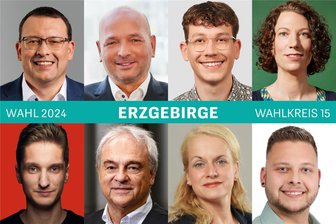 Landtagswahl: Hobbys, Berufe, Ziele – Die Kandidaten in der Region Annaberg im Check - Die Direktkandidaten zur Landtagswahl im Wahlkreis 15 von links oben nach rechts unten: Ronny Wähner (CDU), Thomas Prantl (AfD), Frederic Beck (Linke), Nathalie Senf (Grüne), Gregor Neumann (SPD), Jens Schmitt (FDP), Madelaine Vogt (Freie Wähler) und Willy Frost (BSW).