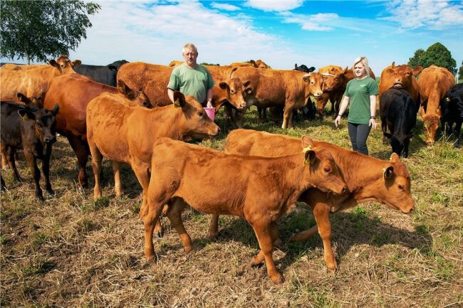 Landwirt 365 Tage im Jahr: Die Hartmanns in Drebach und ihre Viecher - Auf der Weide gleich hinterm Landgut stehen 50 Rinder - Angus und Limousin. Davon sind 20 Kälber aus der eigenen Nachzucht.