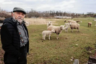 Landwirt entsetzt über Lämmer-Diebstahl in Glauchau - Für Landwirt Günter Ehrlich kommt nur Diebstahl in Frage.