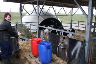 Landwirte achten auf Biogas, Tierwohl und Sonnenstrom - Margitta Eger füttert Kälber in den sogenannten Kälberiglos des Agrarunternehmens Lauenhain. Beim Landeswettbewerb "Tiergerechte und umweltverträgliche Haltung 2019/2020" wurde der Betrieb ausgezeichnet.
