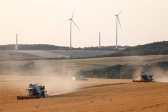 Landwirte ernten auch Erbsen, Senf und Wildblumensamen - Bei Lichtenstein haben Mähdrescher kürzlich Erbsen geerntet.