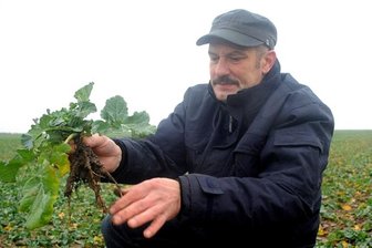 Udo Böhme begutachtet Pflanzen
