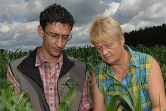 Landwirten im Vogtland drohen Ernteeinbußen - Luise Funke von der Eichigter Agrofarm 2000 und Student Stefan Schieferdecker begutachten die Hagelschäden in einem Maisfeld bei Bösenbrunn. Weiße Stellen zeigen, wo das Chlorophyll zerstört ist.