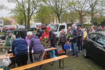 Lange Schlangen und Parkplatznot rund um den "Maulwurfshügel" in Zwickau - Der Nieselregen hielt die Kunden nicht ab. An den beiden Kassentischen bildeten sich zeitweise lange Schlangen.