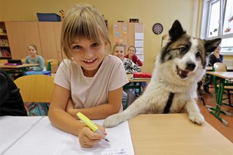 Langenberg: Hündin Sunny hilft jetzt in der Schule mit - Mathilda aus der Klasse 3b findet es toll, wenn Schulhündin Sunny mal bei ihr vorbeischaut.