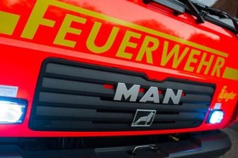 Langenhessen: Spinne löst Feueralarm aus - 