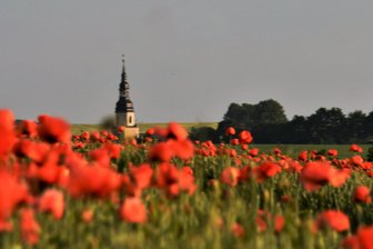 Langenreinsdorf gedenkt der Opfer des Zweiten Weltkrieges - In der Kirche von Langenreinsdorf ist ab Sonntag eine Ausstellung zu sehen.