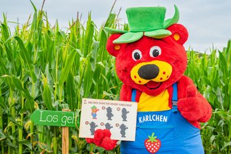 Langer Sommerabend in Döbeln: Neuer Karlchen-Song im Erlebnis-Dorf - Maskottchen Karlchen lädt am Samstag nicht nur ins Maislabyrinth ein, sondern performt auch den neuen Karlchen-Song.