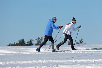 Langlauf-Loipe auf dem Pfaffenberg Hohenstein-Ernstthal - 