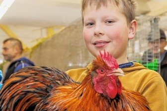 Langohren und Federtiere erst auf dem Prüfstand und dann ausgestellt -