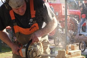 Lanz-Raupe in Eiche gesägt - 