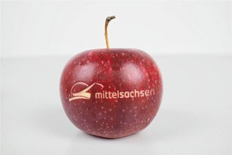 Laservorm in Altmittweida bietet spannende Einblicke - Seinen eigenen Apfel kann man sich bei Laservorm lasern. 