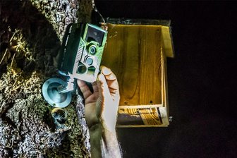 Laubenbrand in Olbernhau: Bringt Wildkamera Polizei auf die Spur eines 44-Jährigen? - Hat diese Wildkamera den Brandstifter fotografiert?