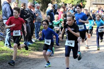 Laufstark durch den Stadtwald - Start der Distanz über 2 Kilometer (männlich). Insgesamt nahmen 173 Aktive am Lauftag teil. 