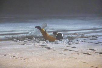 Lebensgefahr auf zugefrorenen Teichen im Erzgebirge: Feuerwehr probt Eisrettung - Plötzlich bricht Feuerwehrmann Moritz Vieregg auf dem Teich ein.