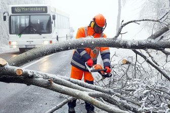 Lebensgefahr durch Eisbruch - Wälder am Fichtelberg gesperrt - 