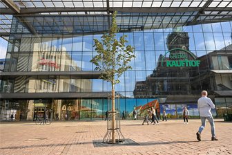Leerer Kaufhof in Chemnitz: Schauspielhaus, Ikea, Markthalle - was ist realistisch? - Das große Kaufhof-Gebäude hinter dem kleinen Marktbaum bietet gerade vor allem eins: viel Platz.