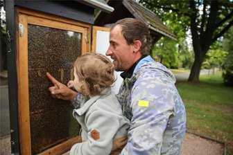 Leerstand auf Friedhöfen im Kreis Zwickau: Warum sich Kinder, Leseratten und Kaffeetrinker darüber freuen - Mia und ihr Vater beobachten die Bienen im Schaukasten auf dem Zwickauer Hauptfriedhof am Tag des Friedhofs.