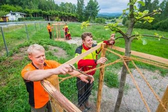 Lehrlinge kümmern sich um Streuobstwiese - Oberhalb vom Sportplatz in Bockau haben Forstlehrlinge im Rahmen eines Naturprojekts eine Streuobstwiese angelegt. Nils Liebhaber und Janis Nobis (vorn von links) prüfen deren Wuchs. 