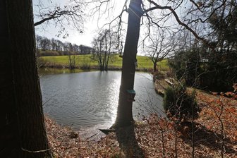 Leichenfund bei Mülsen: 85-Jähriger tot in abgelegenem Teich entdeckt - An diesem Teich bei Mülsen haben Passanten die Leiche eines 85-Jährigen Mannes entdeckt.