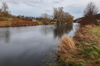 Leichenfund in der Zwickauer Mulde in Remse: Wie die Polizei jetzt vorgeht - Cirka 500 Meter oberhalb des Wehrs in Remse war die Frau am Montagmorgen im Uferbereich entdeckt worden.