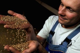 Lengenfeld: Getreideerträge im Vogtland erreichen Durchschnittswerte - Michael Klopfer lobt die Weizenernte. Der Inhaber der Lengenfelder Klopfermühle spricht von guten Backqualitäten in diesem Jahr.