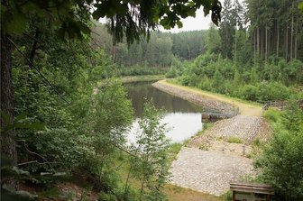 Lengenfeld greift nach komplettem Lenck-Teich - Neun Jahre nach der Sanierung hat sich die Natur rund um den Teich erholt, und das Areal lädt zum Wandern ein.