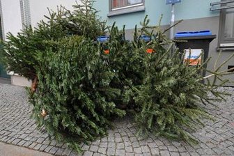 Letzte Runde für den Christbaum -