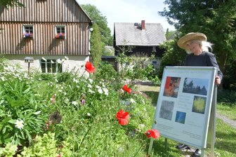 Letzte Sommergalerie im Hofefeld bei Frauenstein: Eine Ausstellung der Künstlerfamilie - Am Wochenende öffnet die letzte Sommergalerie bei Susanne und Carsten Gille im Frauensteiner Hofefeld.