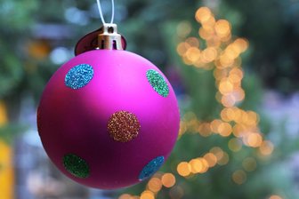 Letztmalig 20 Euro je Baum: Weihnachtsbaum in Chemnitz selbst schlagen - Wer Wert auf einen besonders schön gewachsenen Weihnachtsbaum legt, um diesen dann ansprechend schmücken zu können, hat am Samstag im Forstrevier Grüna Gelegenheit, sich einen auszusuchen und selbst zu schlagen.