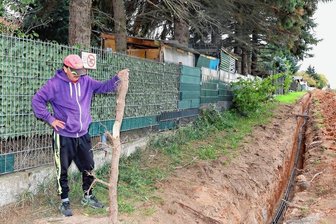 Leubnitzer in Angst: Alte Fichten könnten umkippen - Gerd Ebert ärgert sich, dass bei Bauarbeiten die Wurzeln der alten Fichten am Zaun seines Grundstückes beschädigt wurden.