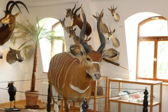 Leubnitzer Schloss für Ausstellungsbesuch wieder geöffnet - 